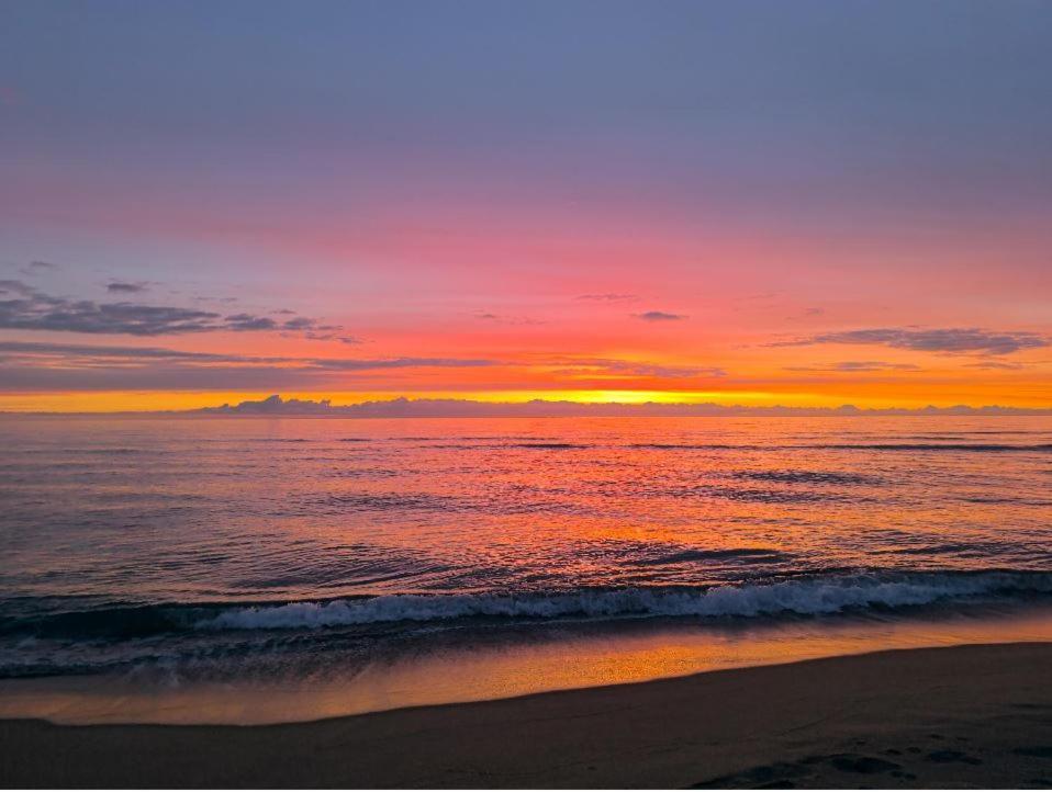 Appartement De Vacances - Splendide Vue Sur Mer, Parking Prive 르발카레스 외부 사진